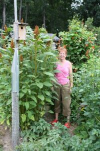 Growing Gluten-Free Grains in the Garden Image